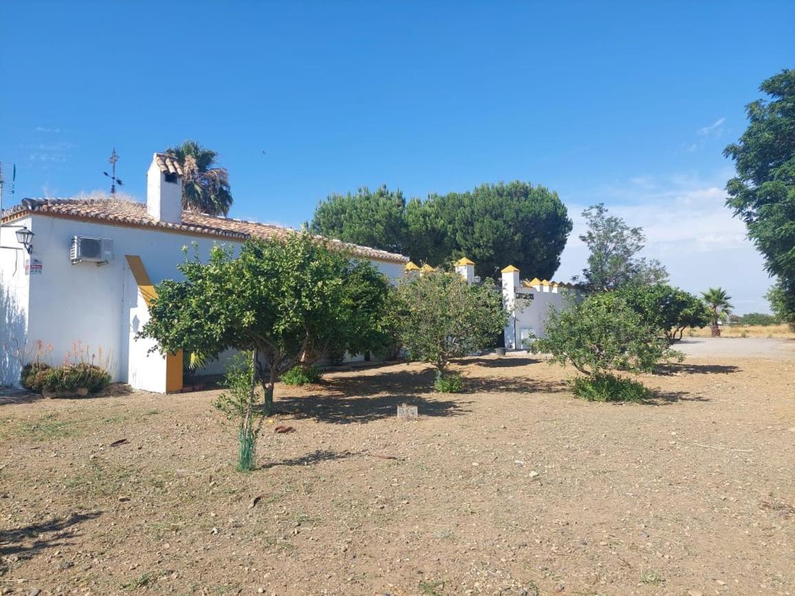 Cortijo Las Cruces Guillena - Sevilla Extérieur photo