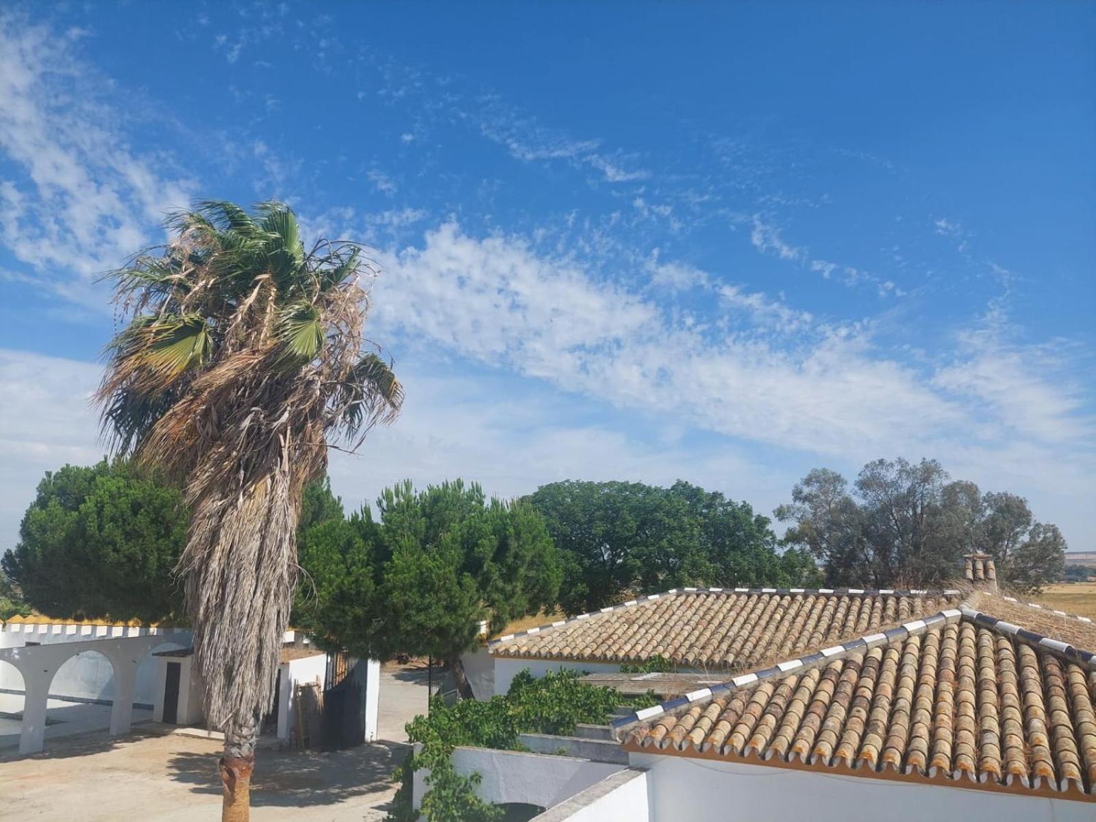 Cortijo Las Cruces Guillena - Sevilla Extérieur photo
