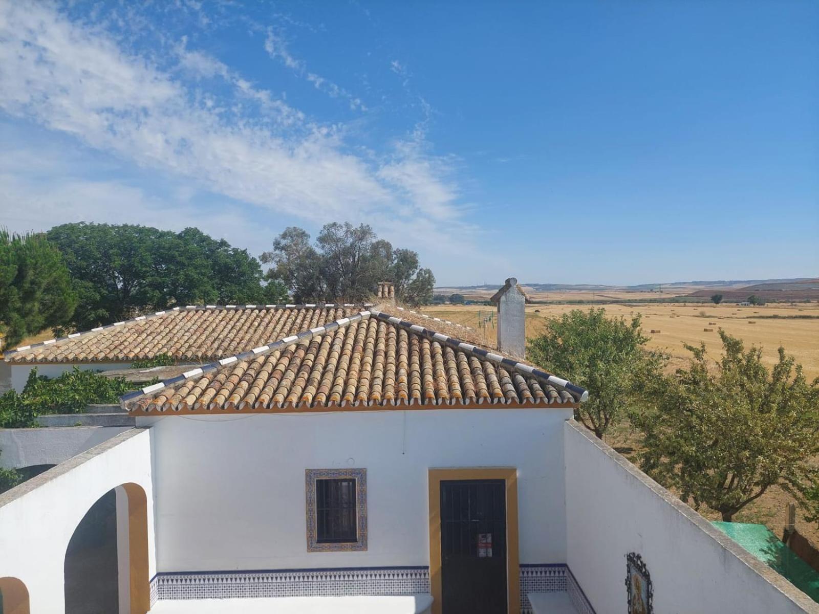 Cortijo Las Cruces Guillena - Sevilla Extérieur photo